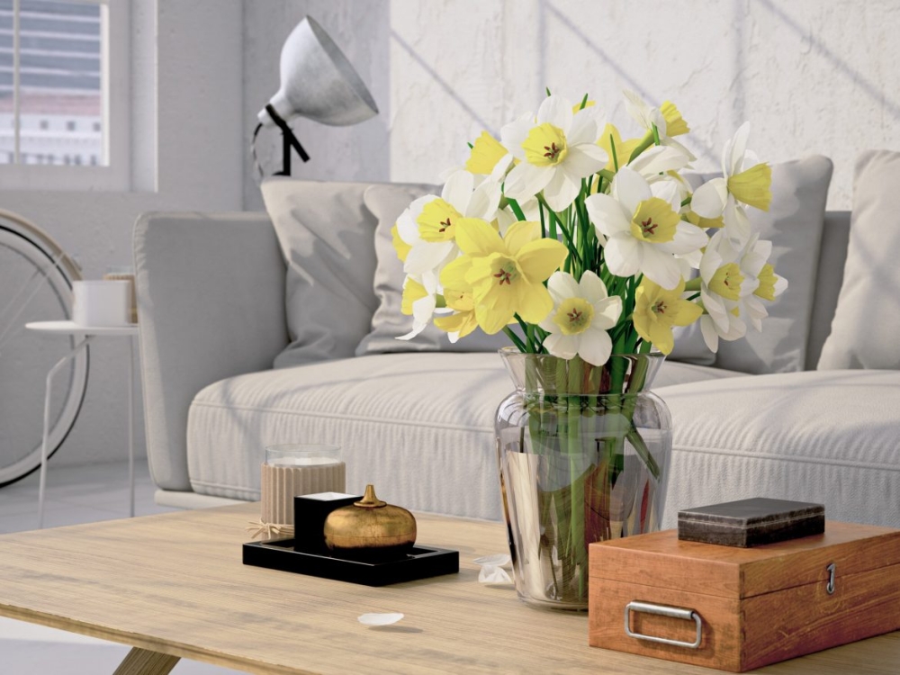 ¿Por qué la primavera es un buen momento para comprar un departamento?